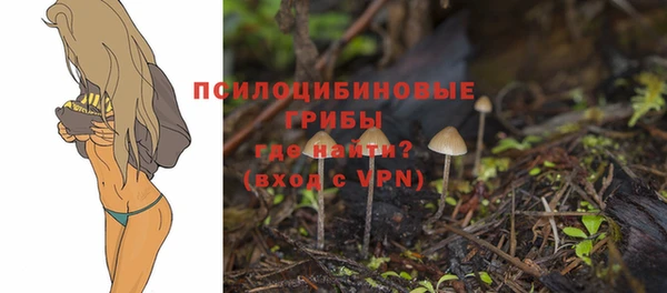 прущая мука Киренск
