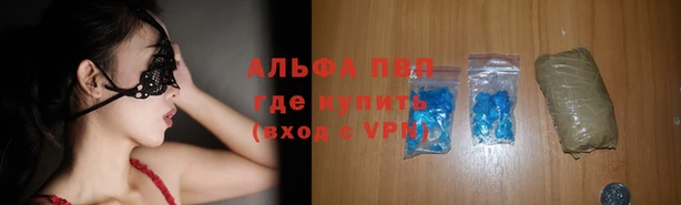 стафф Киреевск