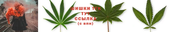 стафф Киреевск