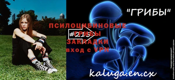 стафф Киреевск