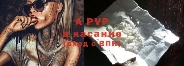 стафф Киреевск